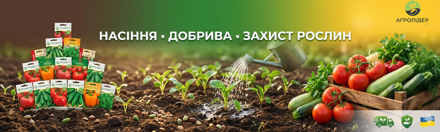 Нижній банер